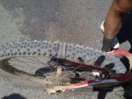07082010067.jpg