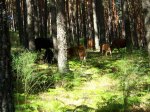 100_2619.jpg
