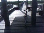 DSC00429.jpg
