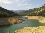 Pantano 3.jpg