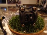 DSC02281.JPG