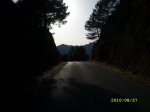 SL273426.JPG