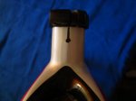 DSC01921.jpg