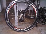 ZIPP trasera.jpg