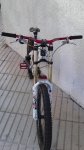 11082010318.jpg