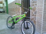 DSC01659.jpg