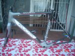 kuota 002.jpg