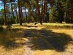 Foto10.JPG