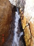 DSC04448.jpg