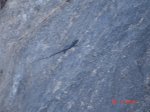 DSC04441.jpg