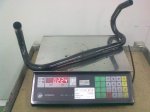 30082010012.jpg
