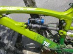 dhxfroggy.jpg
