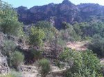 IMG00159-20100826-1114 copia.jpg