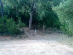 DSC00443.jpg