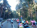 La Pericooo 2010 (9).jpg