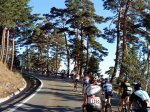 La Pericooo 2010 (11).jpg