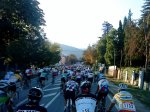 La Pericooo 2010 (6).jpg