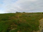 27082010030.jpg