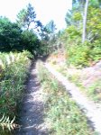 27082010041.jpg