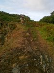 27082010032.jpg