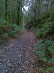 27082010036.jpg