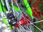 DSC05217_800x600.jpg