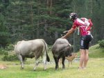 IMG_1139.jpg