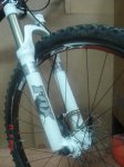 DSC07805.jpg
