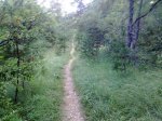 16072010940.jpg