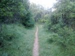 16072010939.jpg