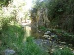 DSCF3134.jpg