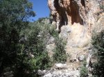 DSCF3135.jpg