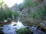 DSCF3137.jpg