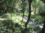 DSCF3131.jpg