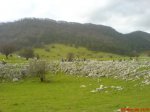 DSC00070.jpg