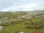 DSC00084.jpg