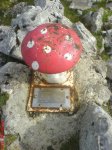 DSC00089.jpg