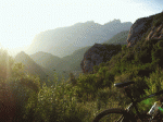 olesa1.gif