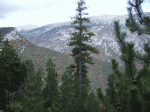 pedra3.gif