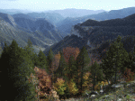 pedra7.gif