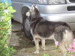 IMG_1849.jpg