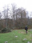 IMG_1863.jpg