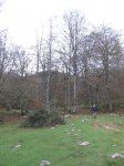IMG_1866.jpg