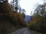 pedra11.gif