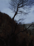 pedra9.gif