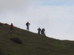 IMG_1901.jpg