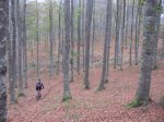 IMG_1909.jpg