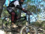 DSCN8775.jpg