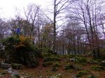2006-11-04 Kedatta Aralar035 (Medium).JPG
