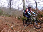 2006-11-04 Kedatta Aralar1011 (Medium).JPG